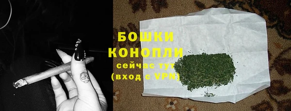 МДПВ Козловка