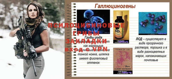 спиды Покачи